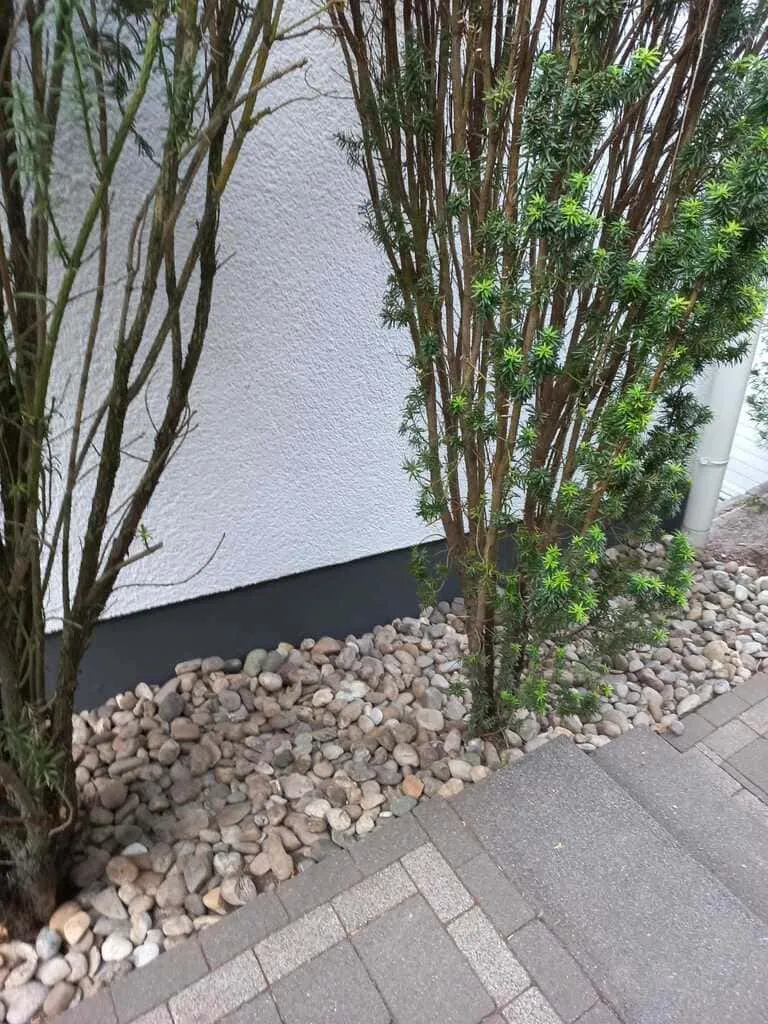 stein-beet-anlegen Steinbeet zur natürlichen Entwässerung an einer Wohnanlage